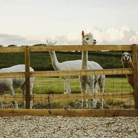 Villa The Hay Barn - Hopewell Bristol Exterior foto